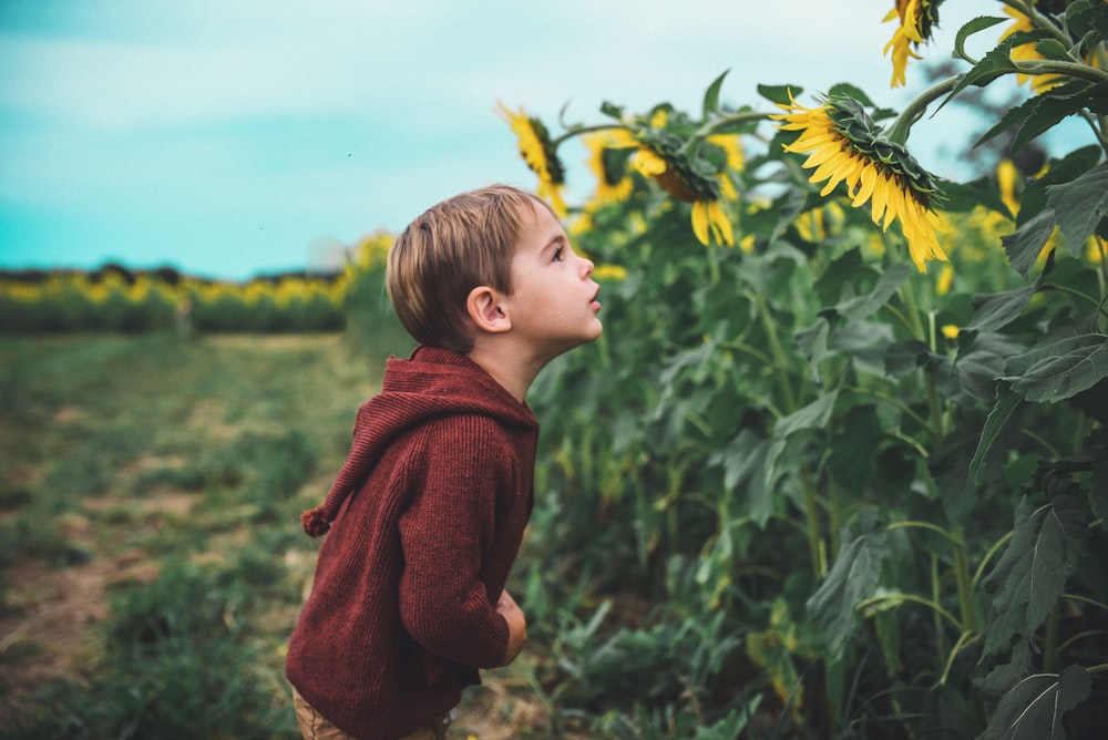 boy standing near sunflower flower
