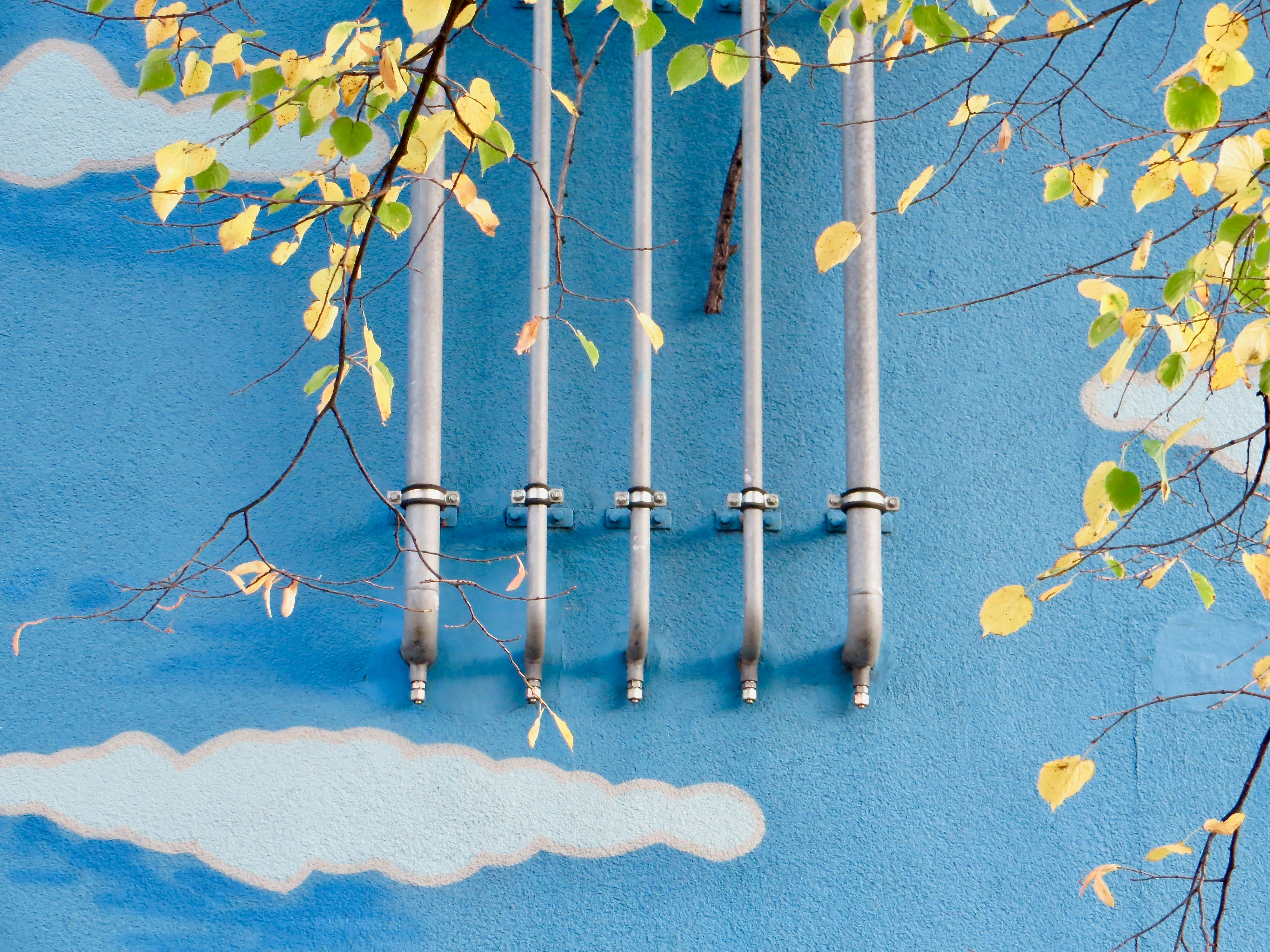 5 Plumbing Maintenance Tips to Improve Water Filter Efficiency