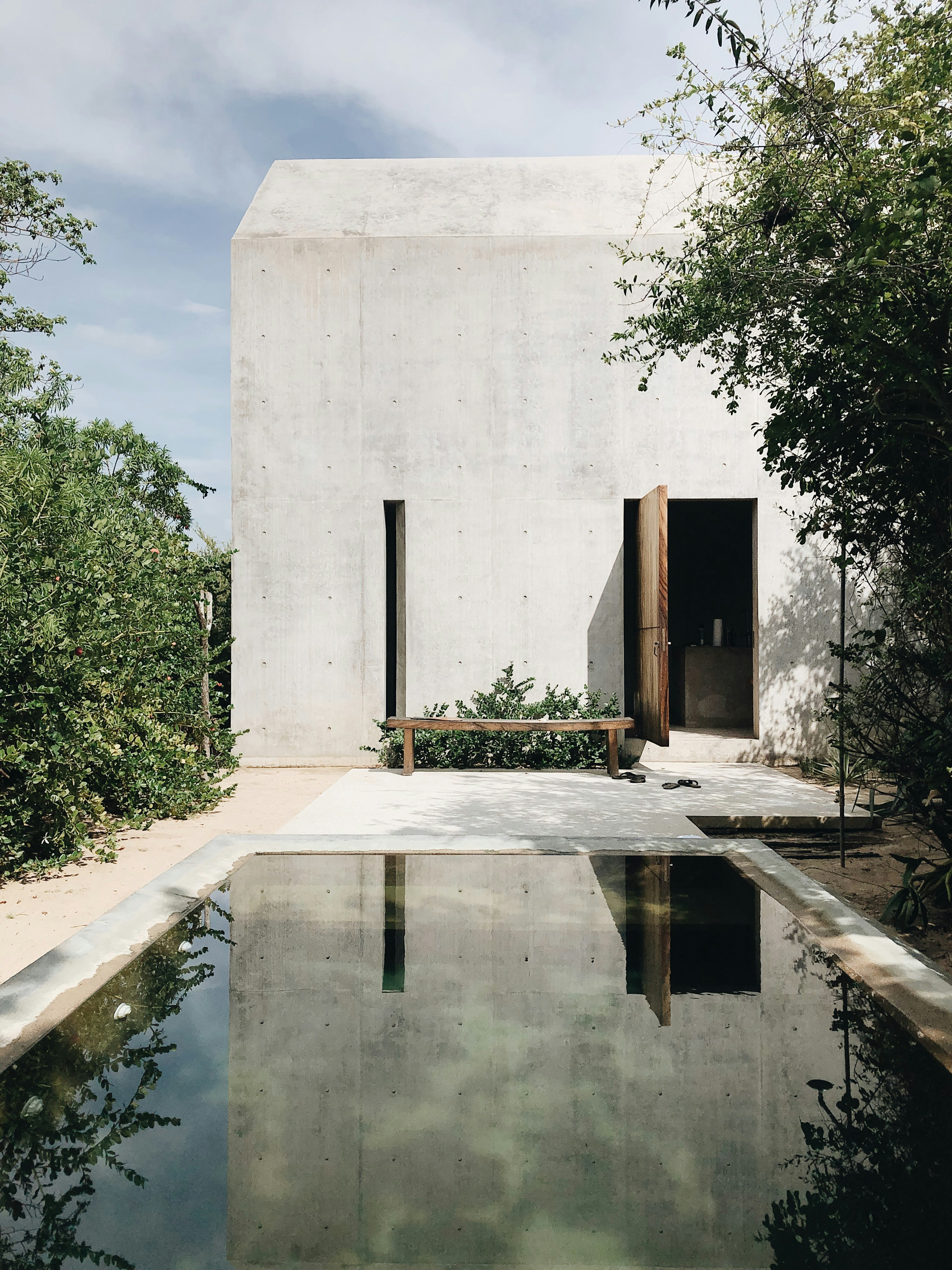 outdoor pond near trees during daytime