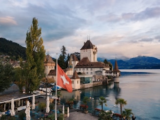 white and brown building beside calm body of water