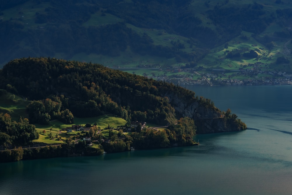 green forest and a lake