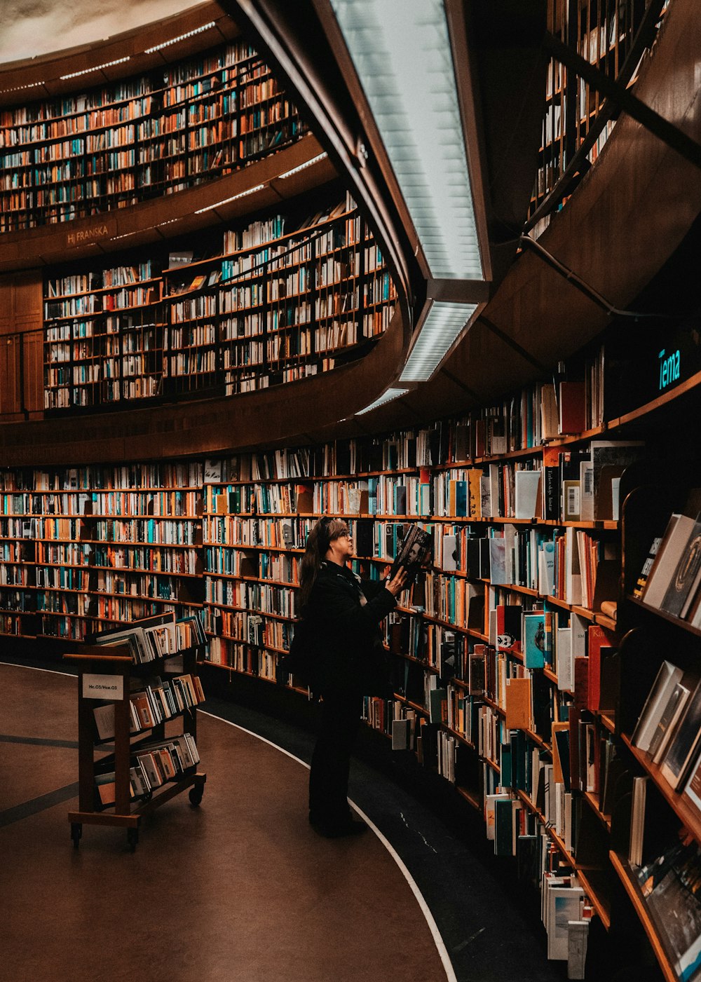 person inside library