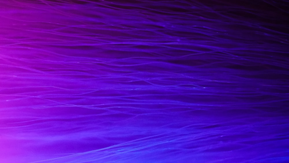 a close up of a purple and blue background