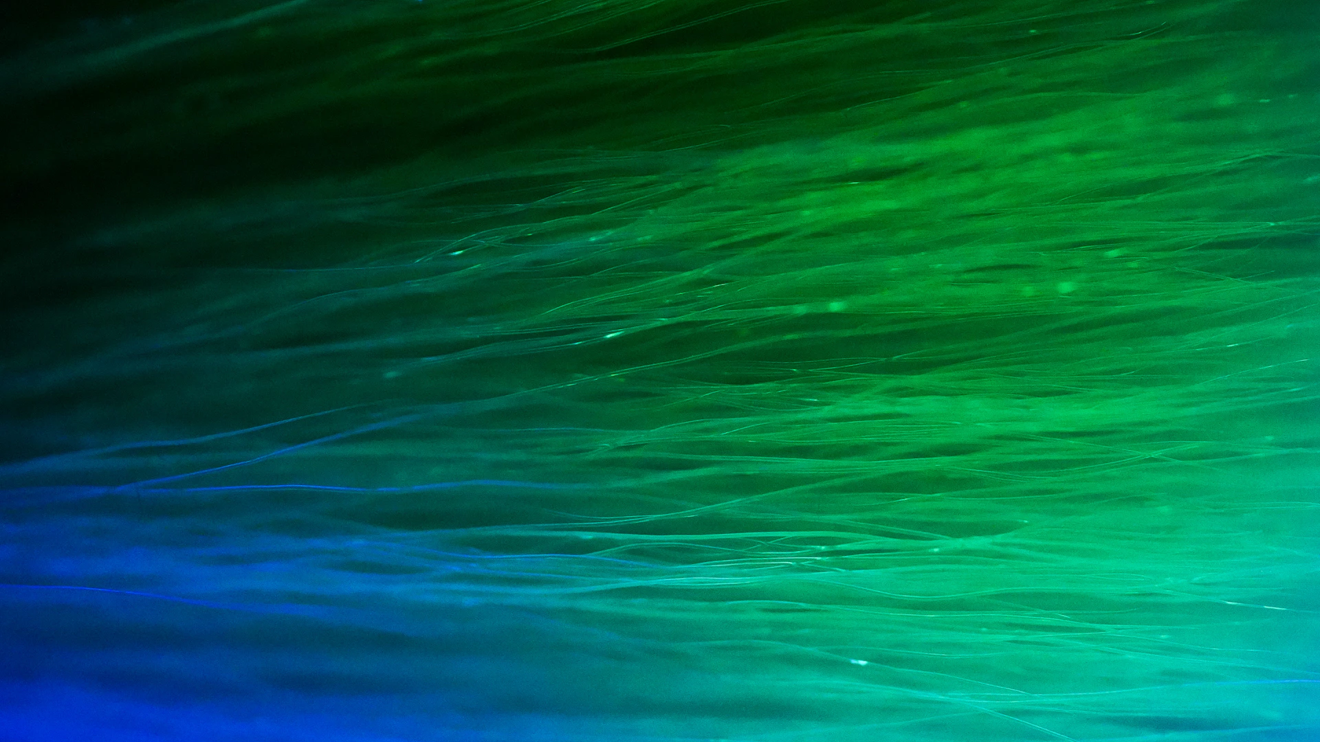 blue and green light