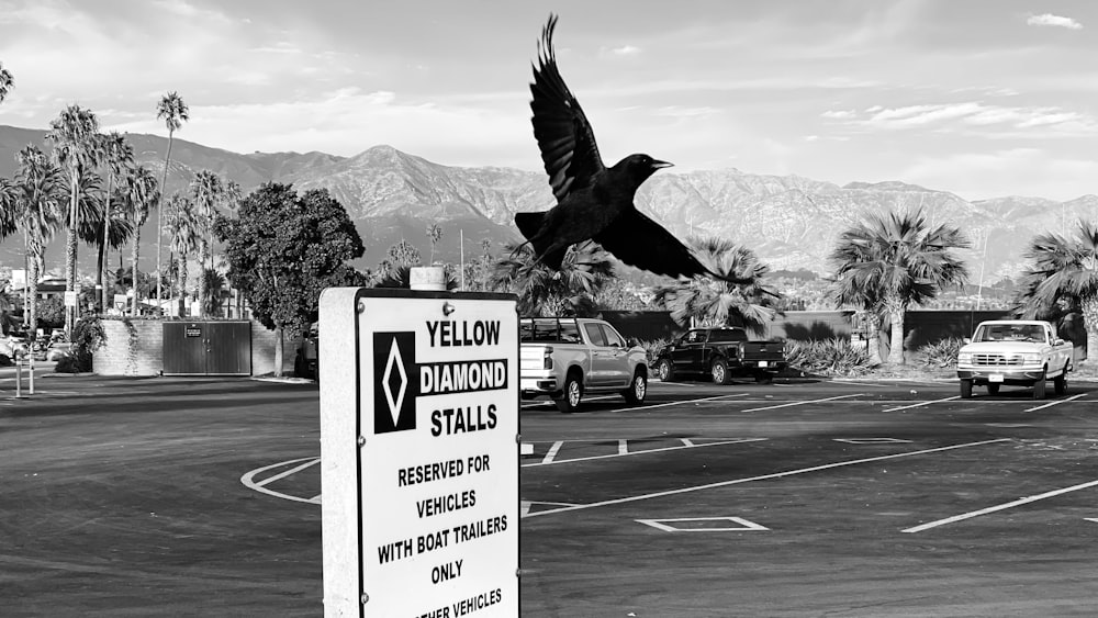 pájaro volando junto al letrero de Yellow Diamond Stall
