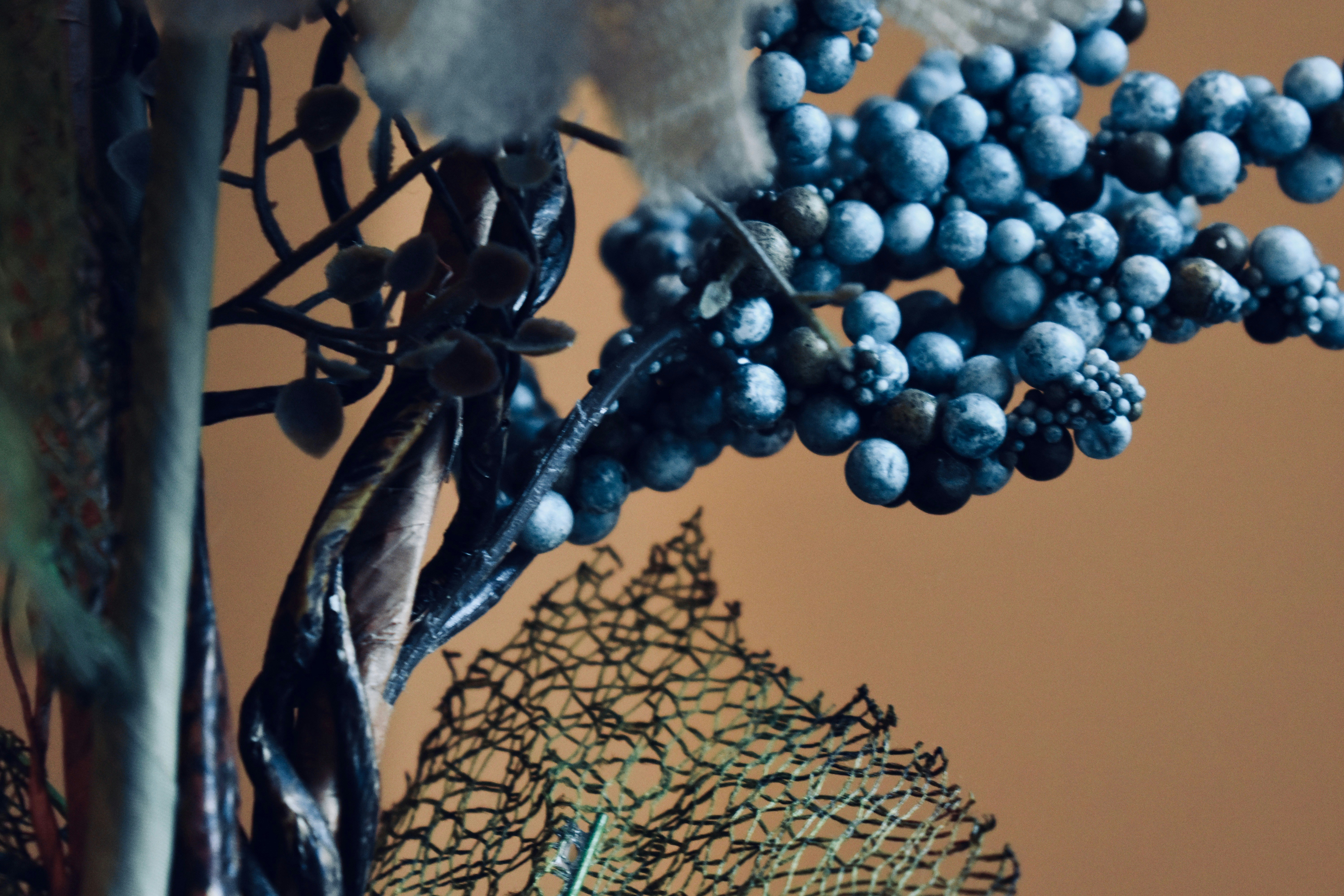 Photo by sophiakunkel