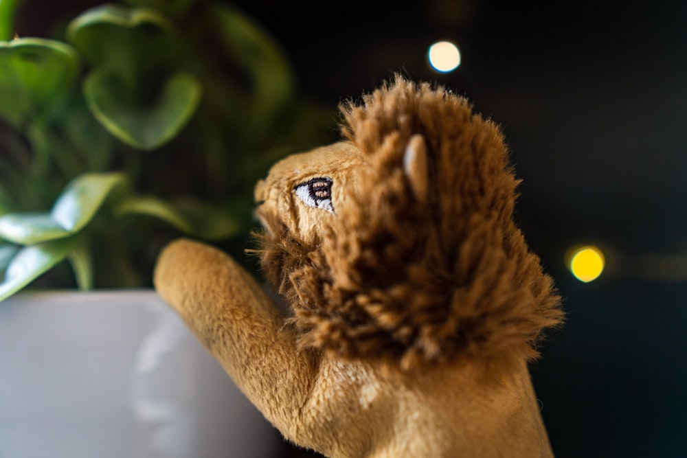 brown tiger plush toy near plant