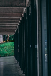 A corridor with a modern architectural design features multiple vertical black beams supporting a flat concrete ceiling. Large glass windows line one side, while the other side opens to a view of a green lawn and trees.