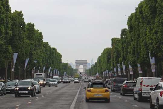 vehicles passing on road between trees in Champs-Élysées France