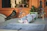 A cozy corner with a framed watercolor pigeon portrait hanging above a small wooden table.