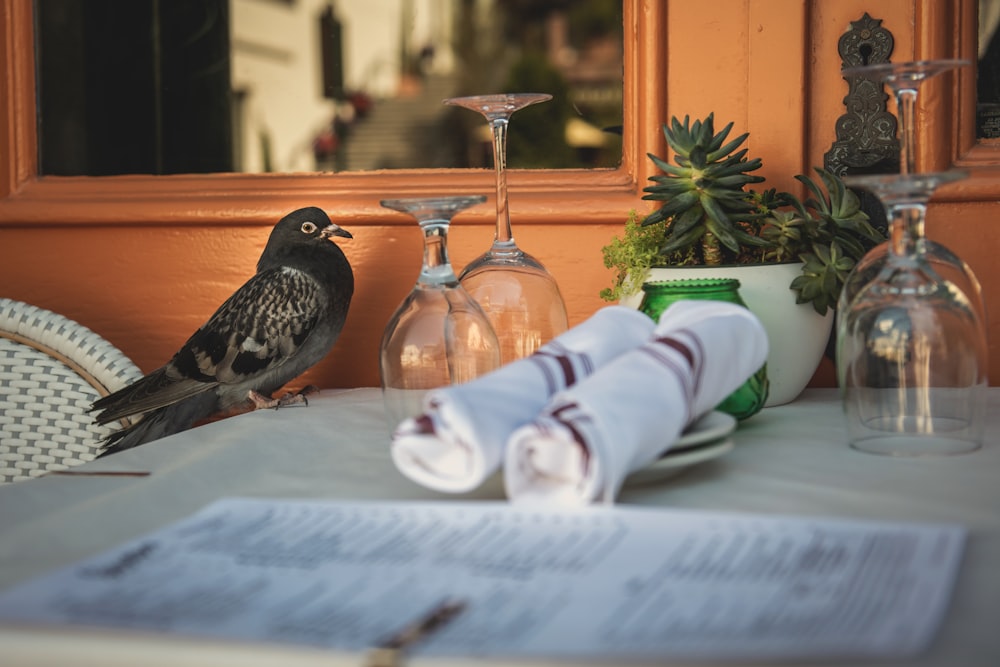 안경과 탁자가 있는 탁자 위에 있는 검은색과 회색 새의 선택적 초점 사진