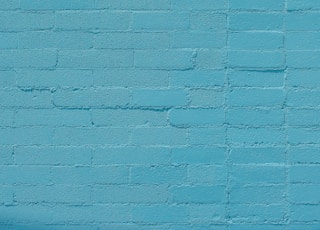 blue wall bricks