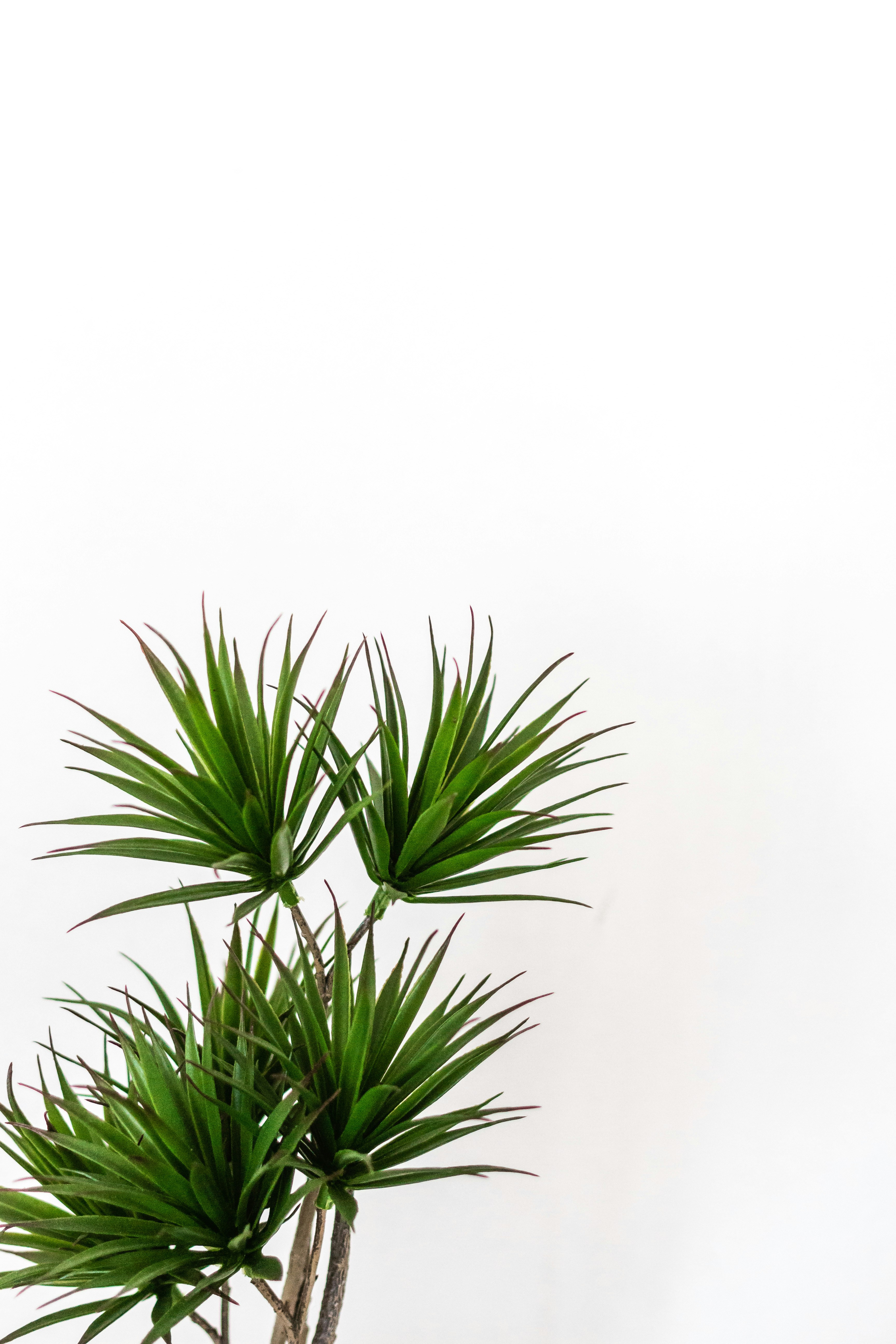 Photo by sincerelymedia