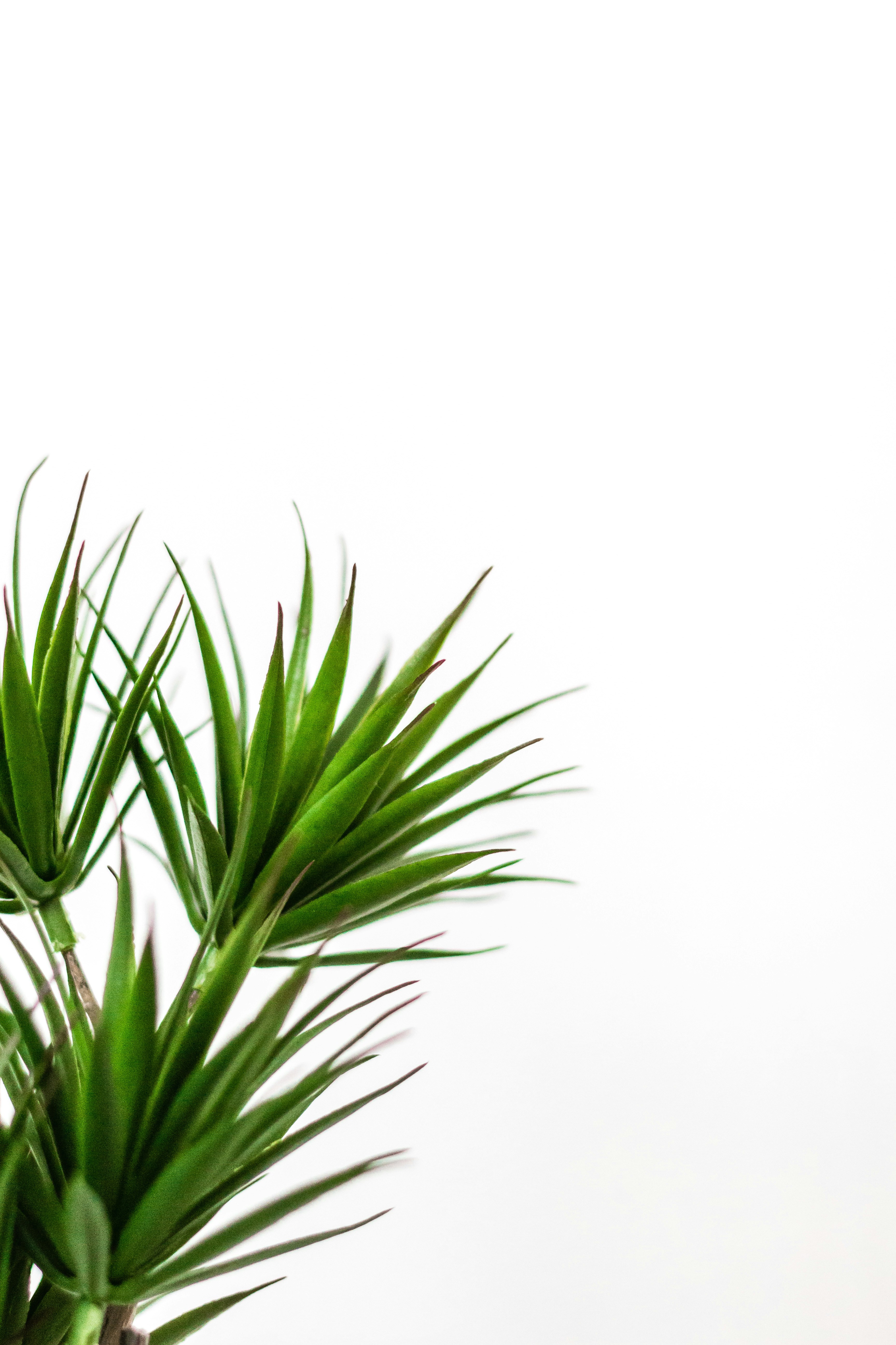 Photo by sincerelymedia