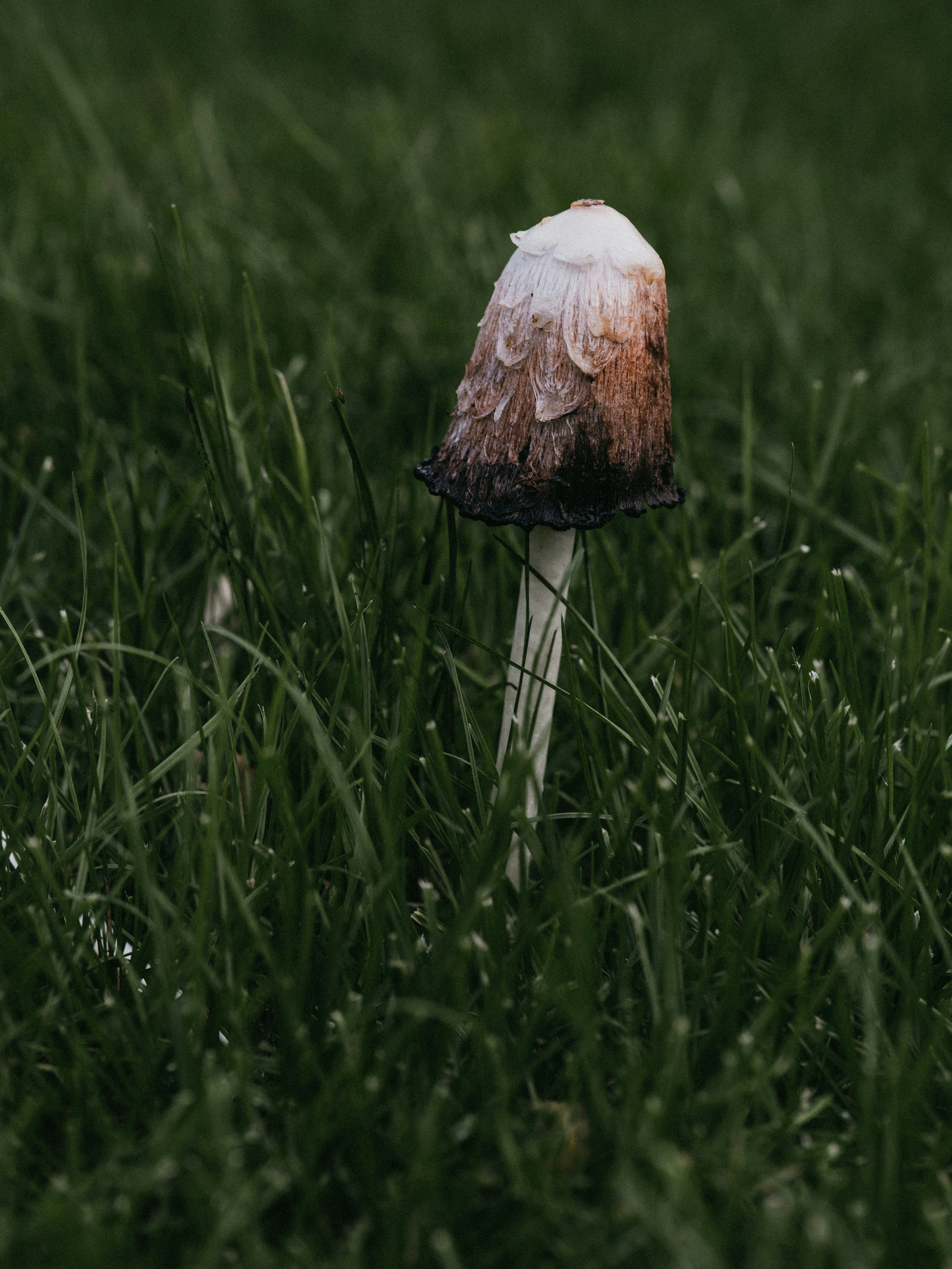 Photo by anniespratt