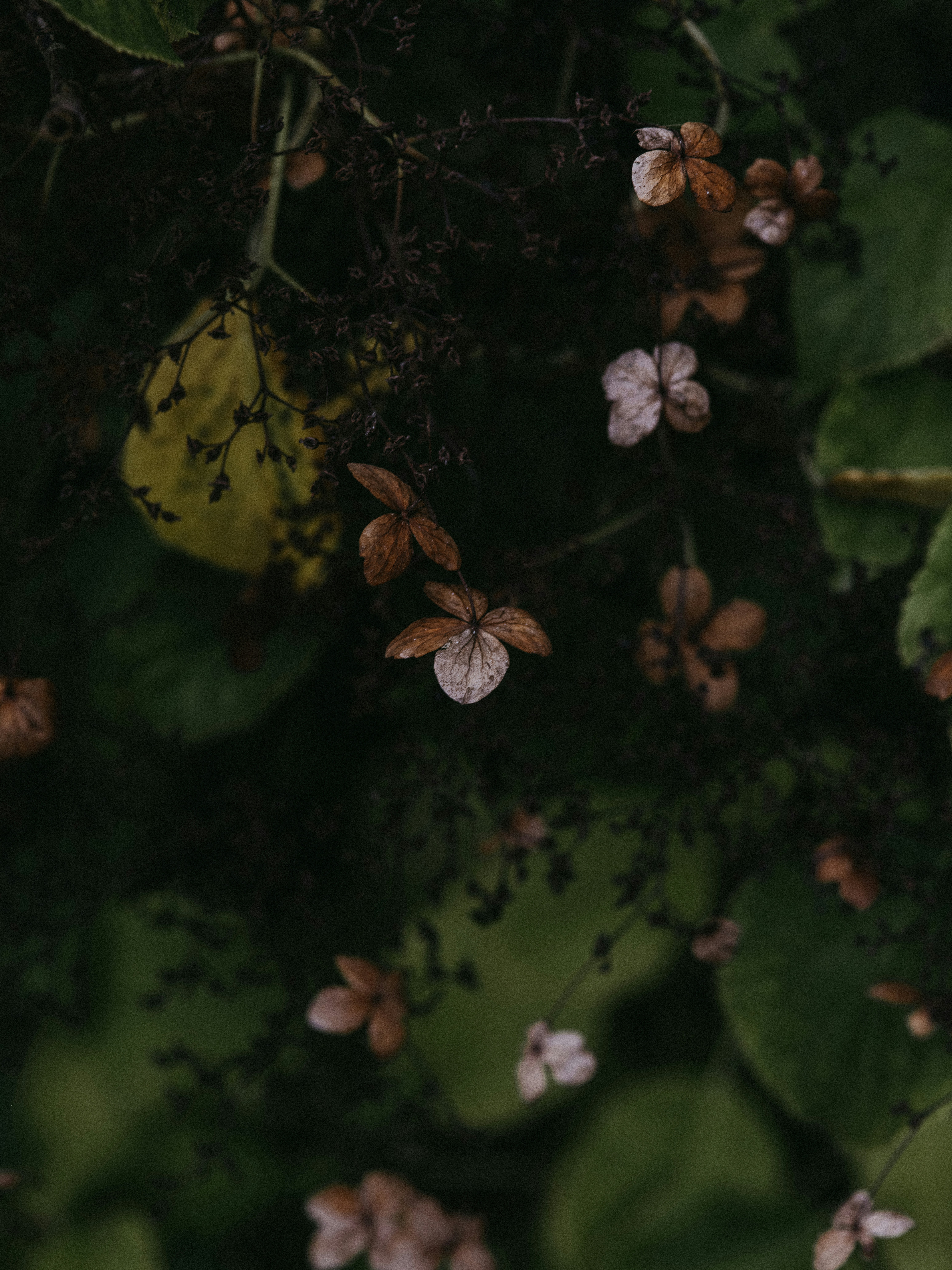 Photo by anniespratt