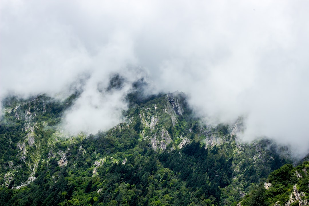 Jungle photo spot Govind Ghat India