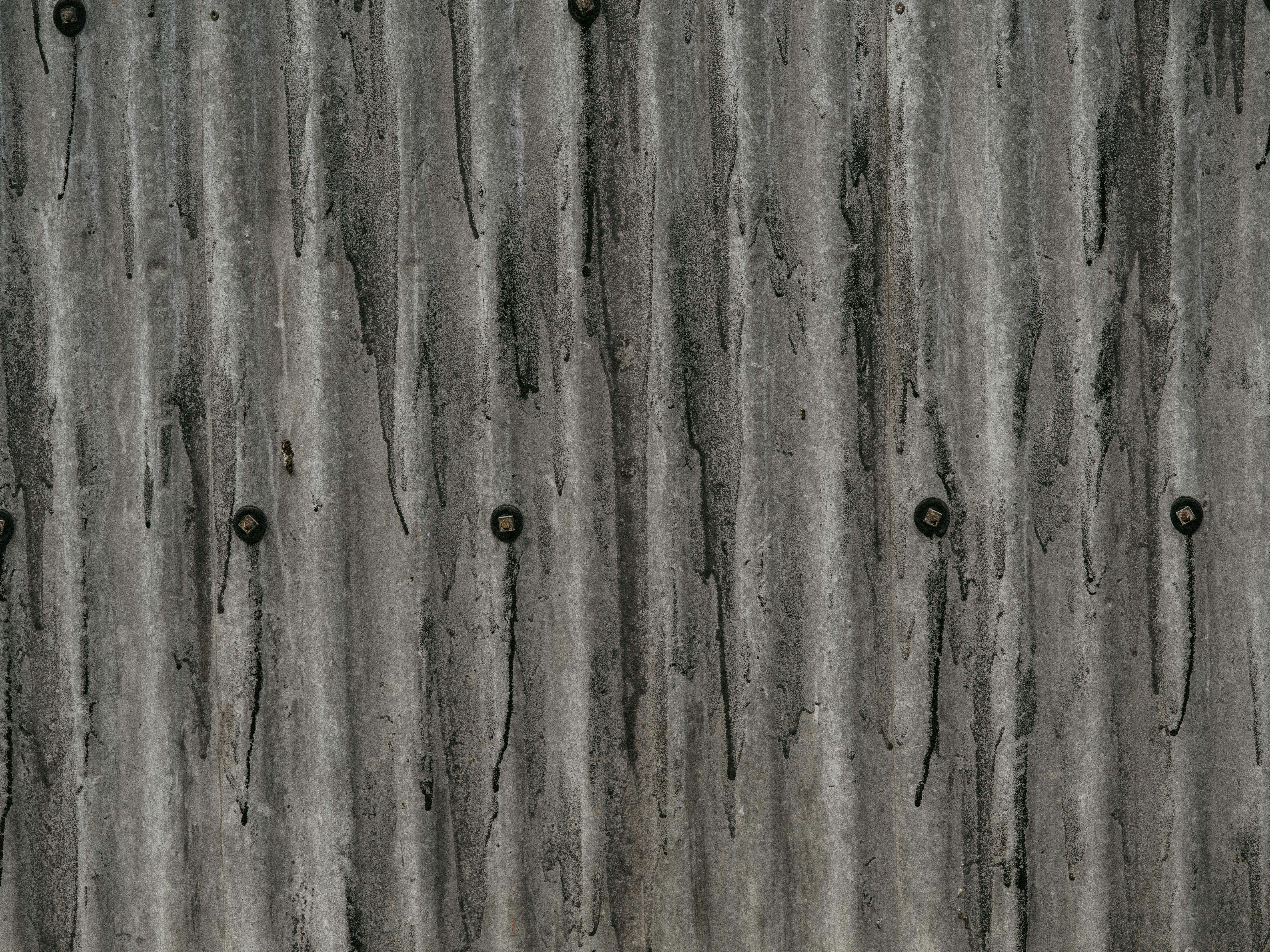 Photo by anniespratt