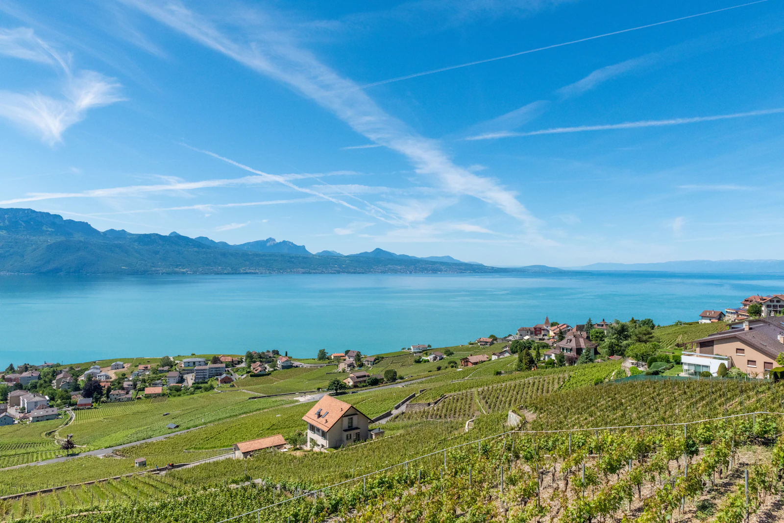 Combien coûte une campagne Google Ads à Lausanne pour une PME ?