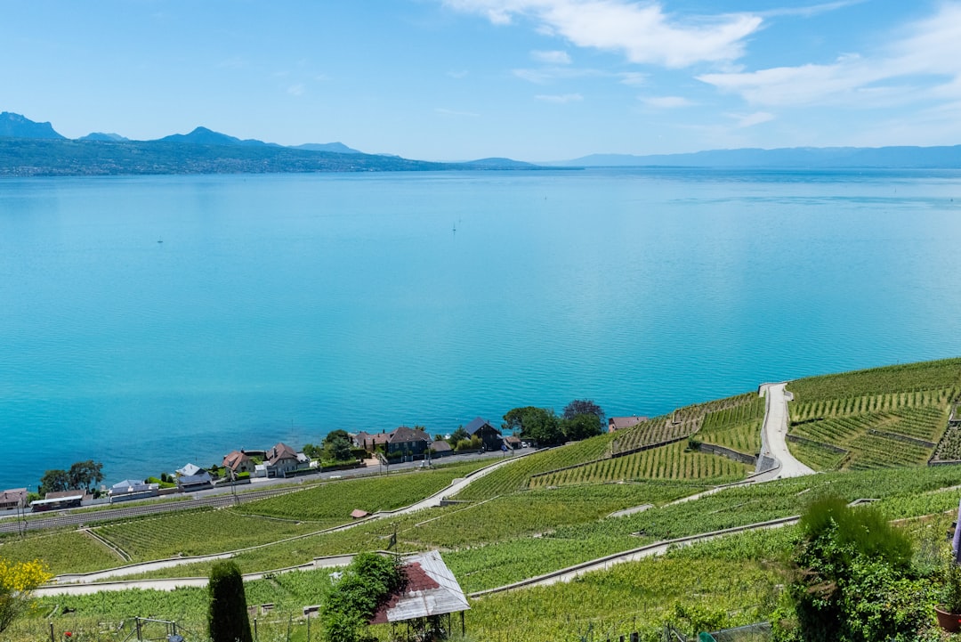 photo of Grandvaux Reservoir near Marchairuz