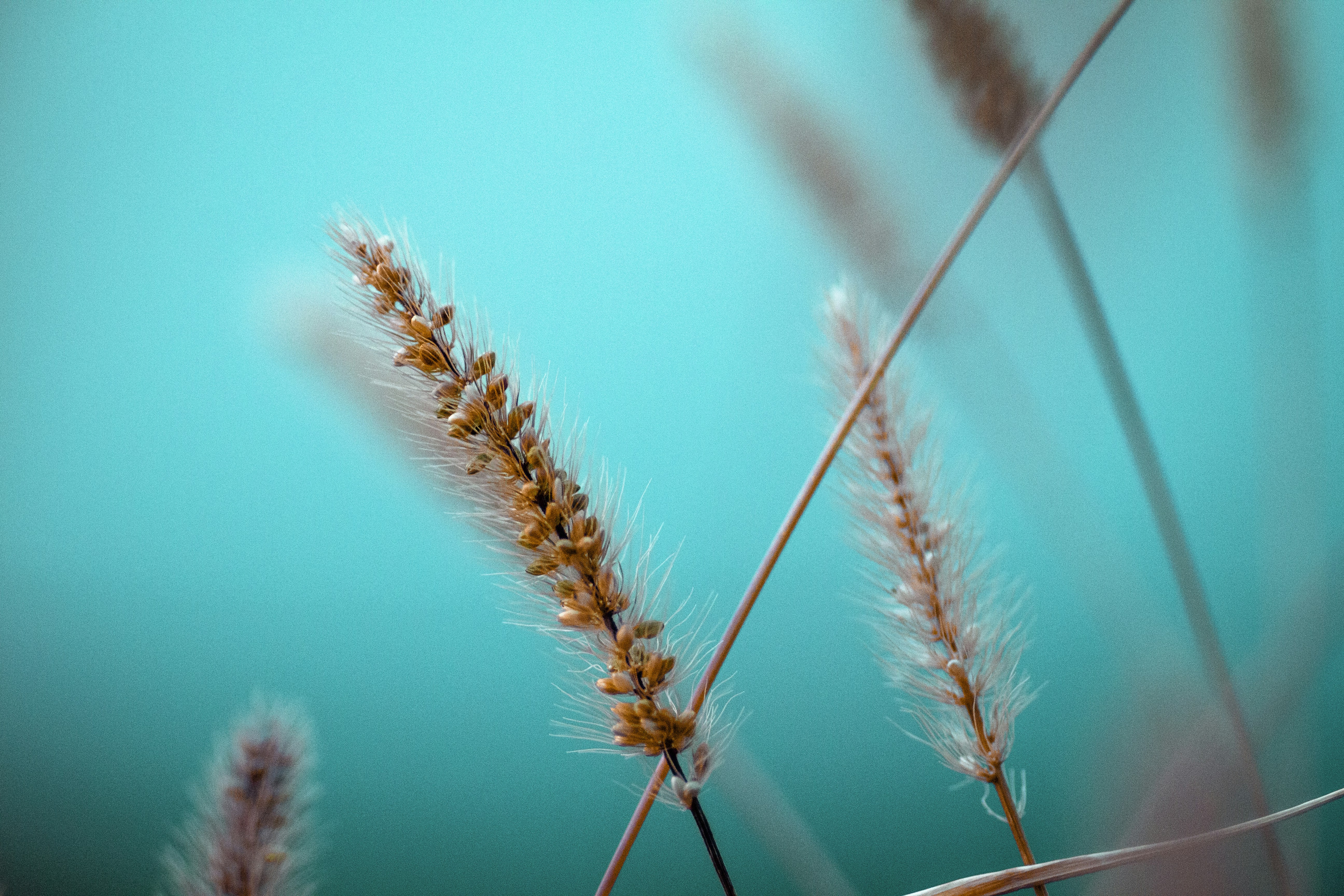 Photo by manuelsardo