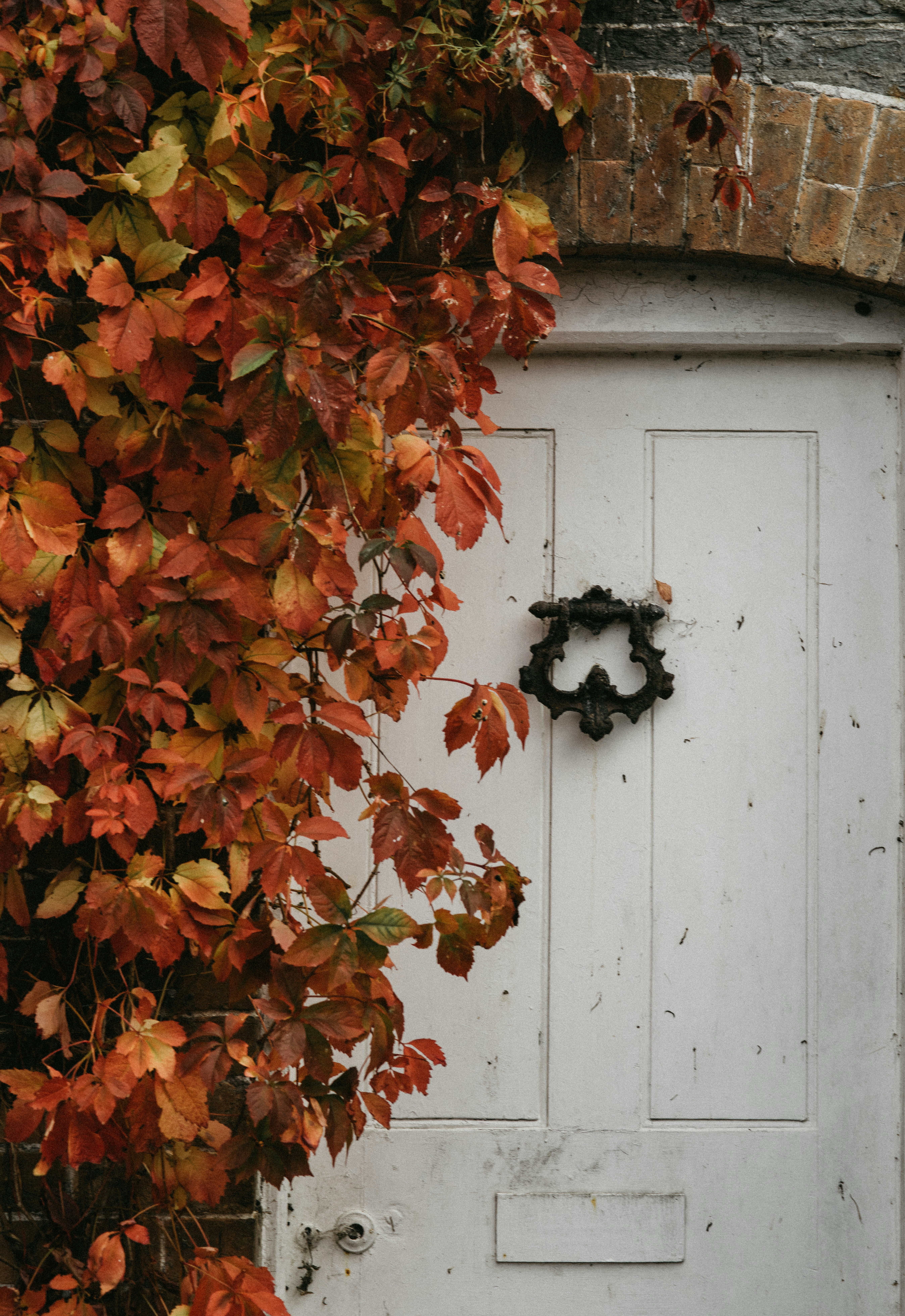 Photo by anniespratt