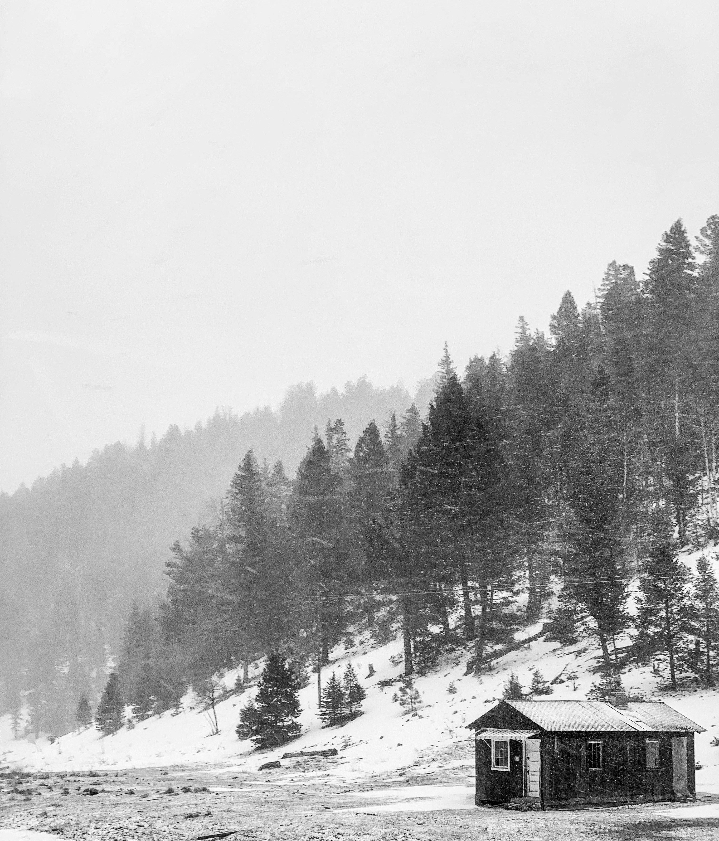 Photo by ilanolivares