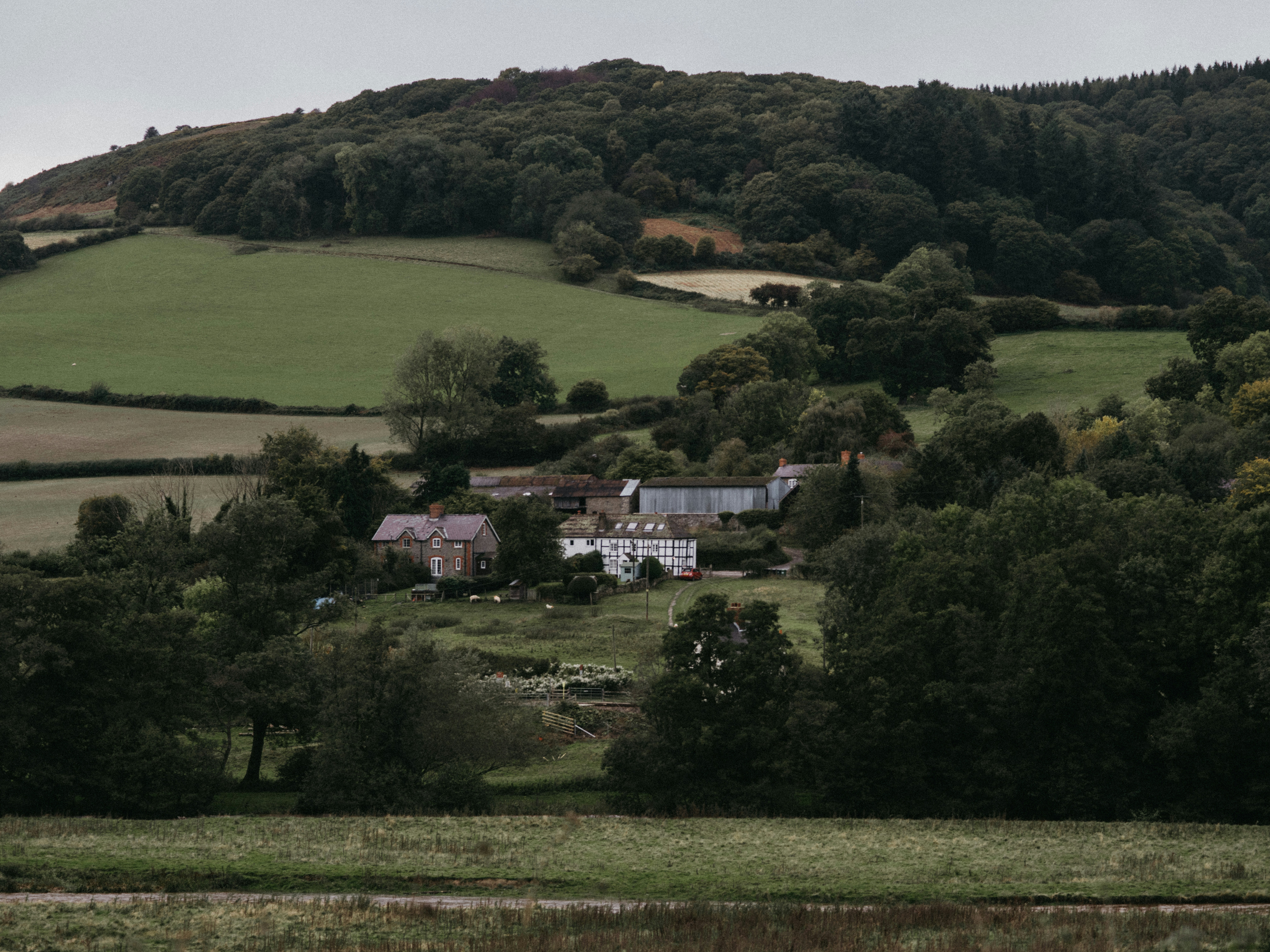 Photo by anniespratt