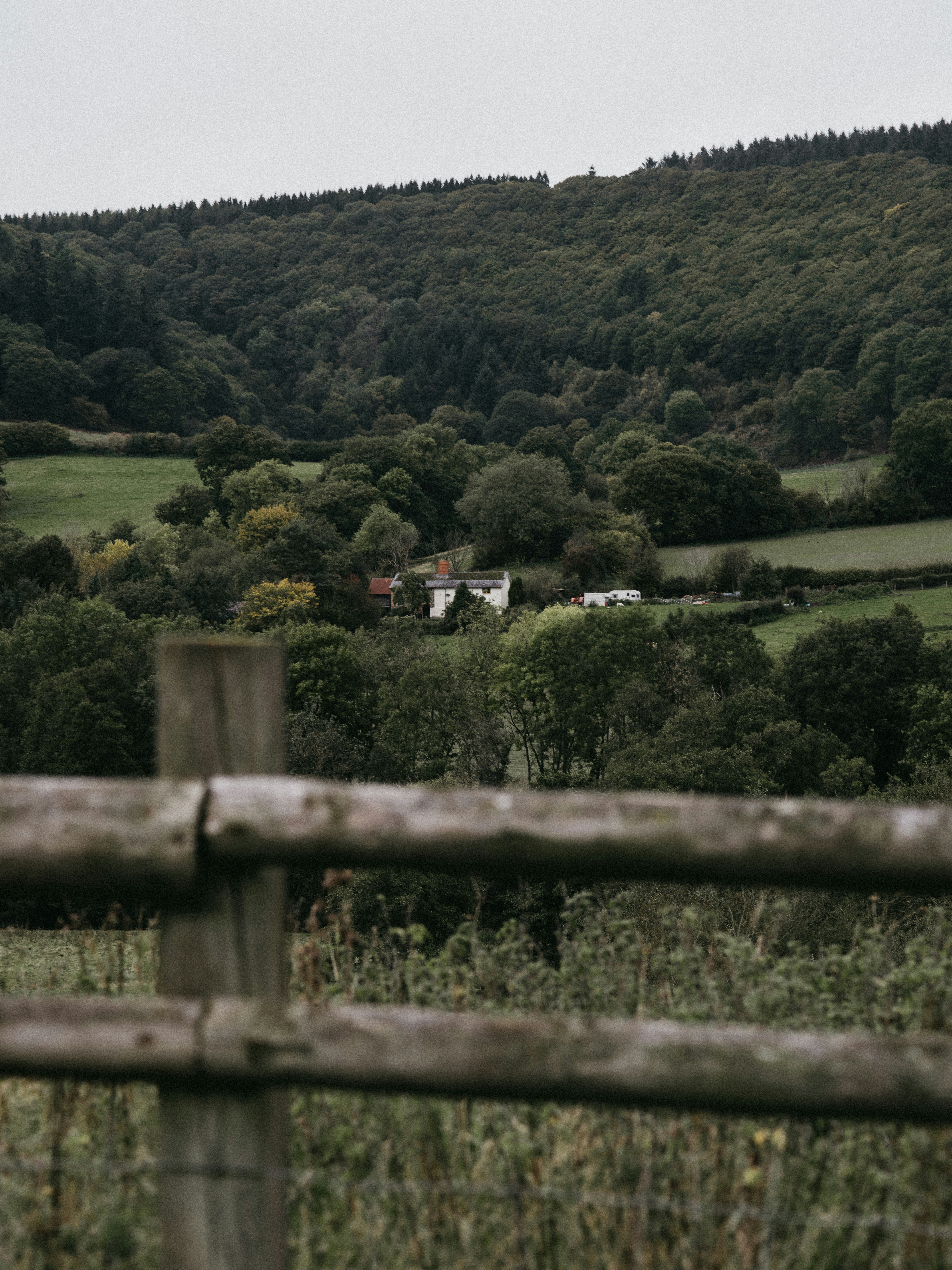 Photo by anniespratt