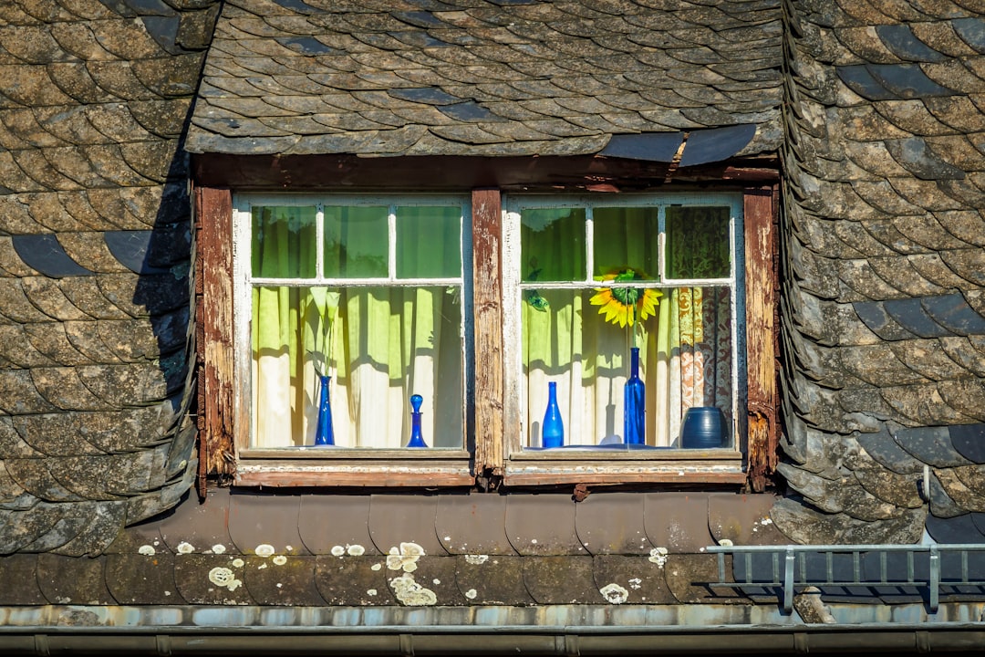 brown wooden window frames