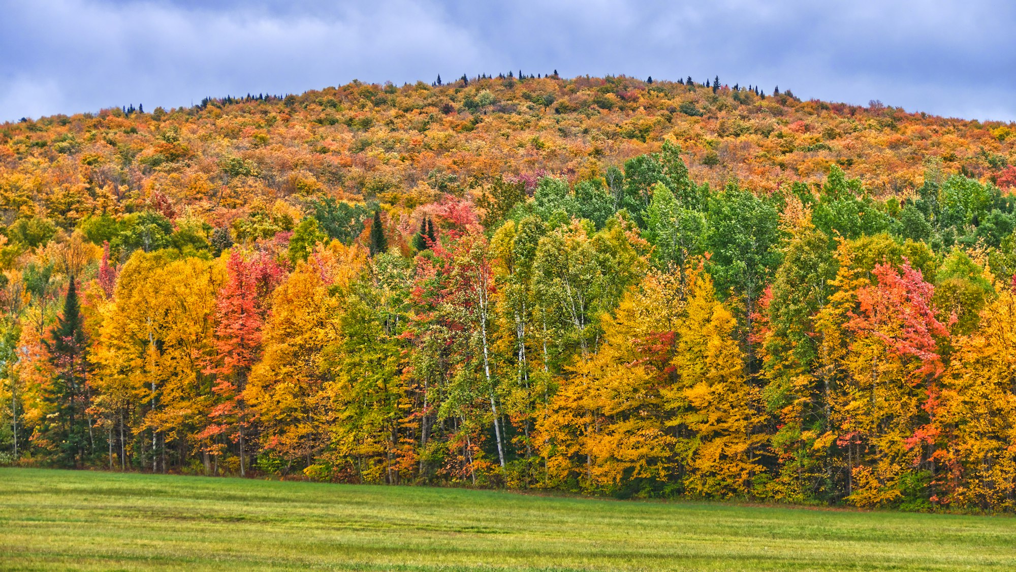 5 produits naturels pour bien démarrer l'automne.