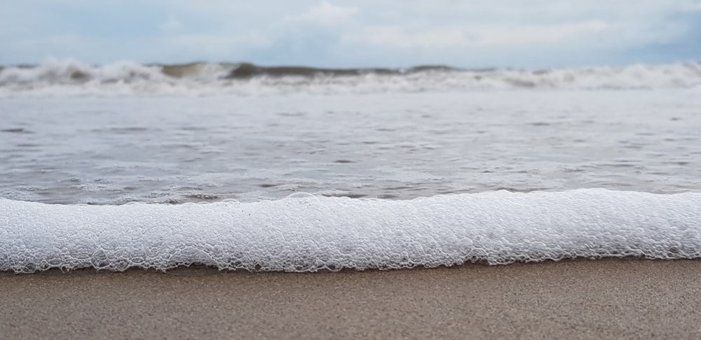 shallow focus photo of body of water