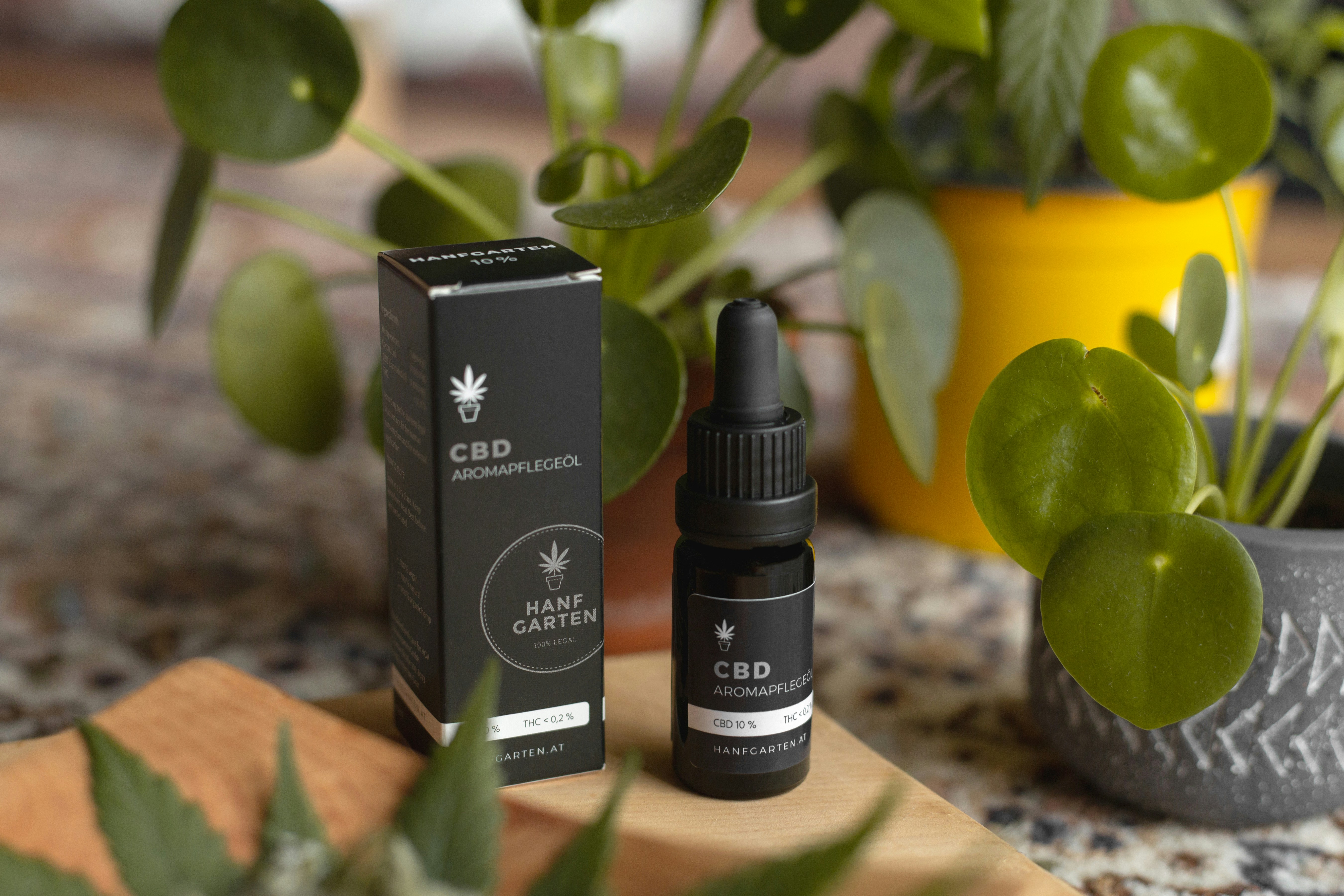 Cannabis Essential Oil