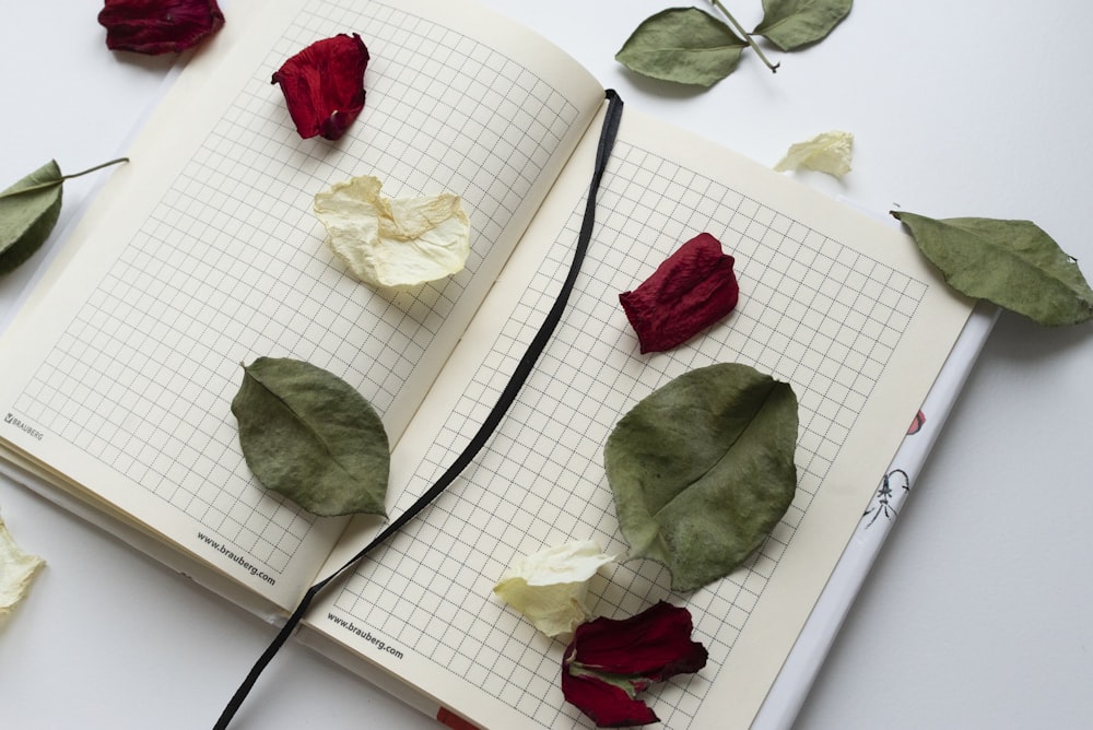 flat lay photography of rose petals on a graphing notebook