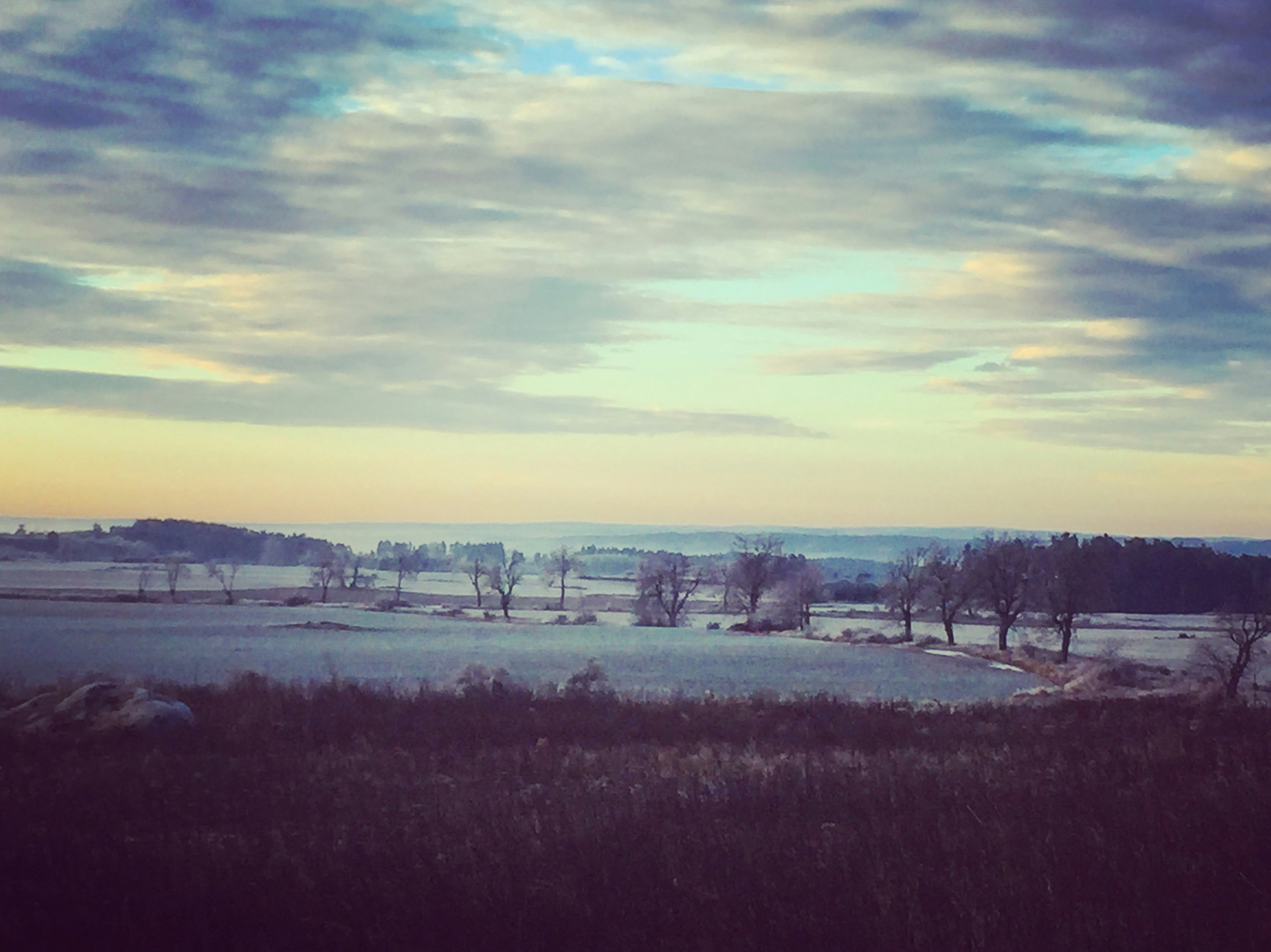 green trees near sea during cloudy day