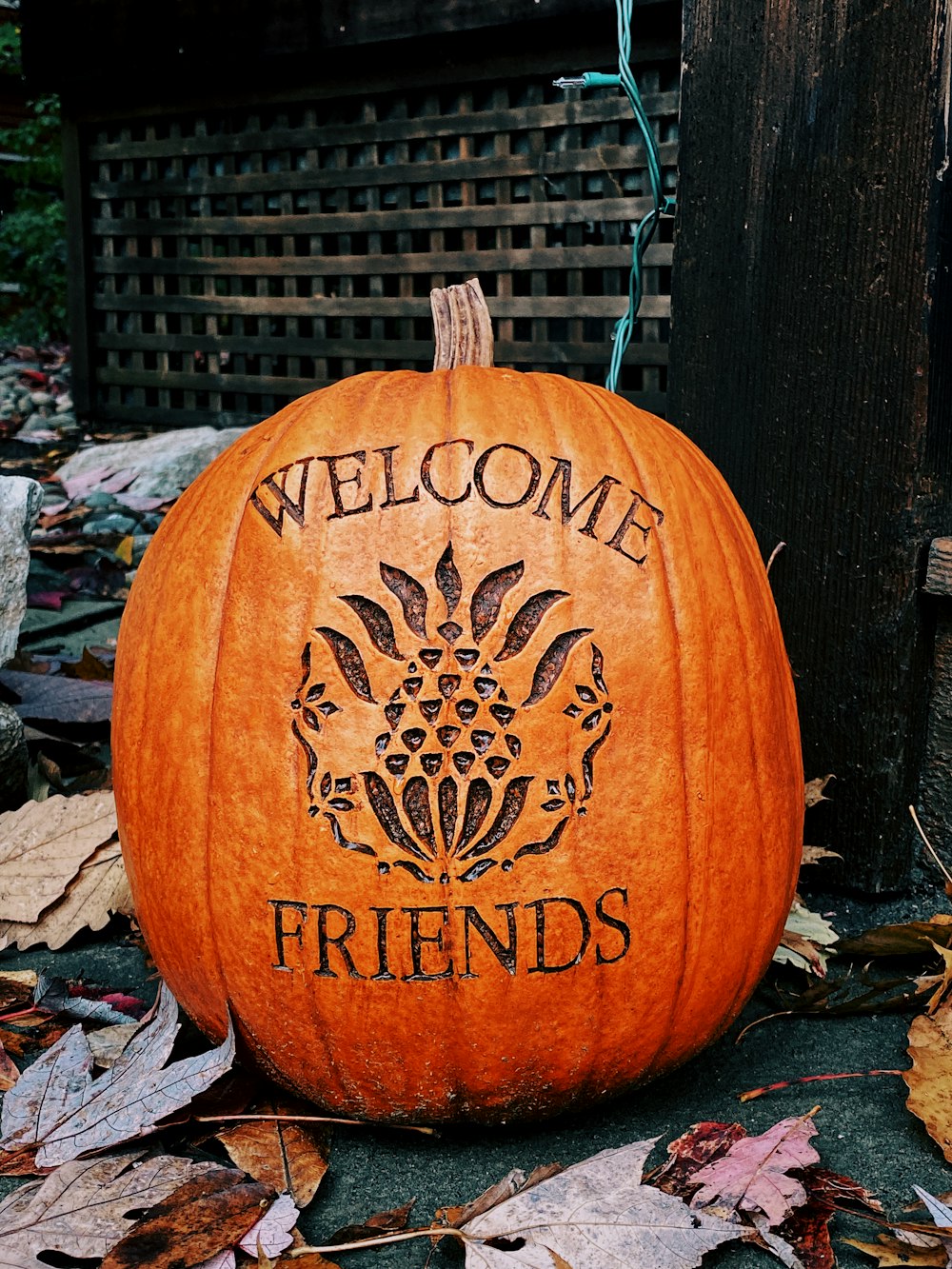 Jack O'Lantern decor