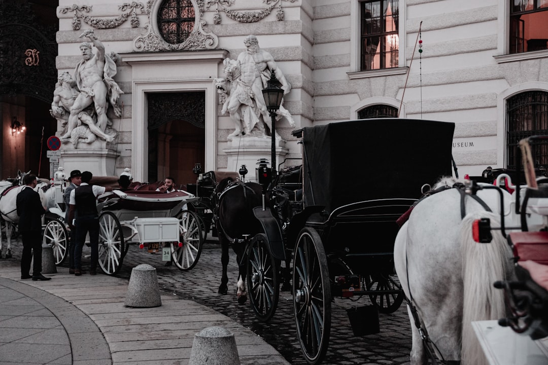 horse carriage on road during daytime