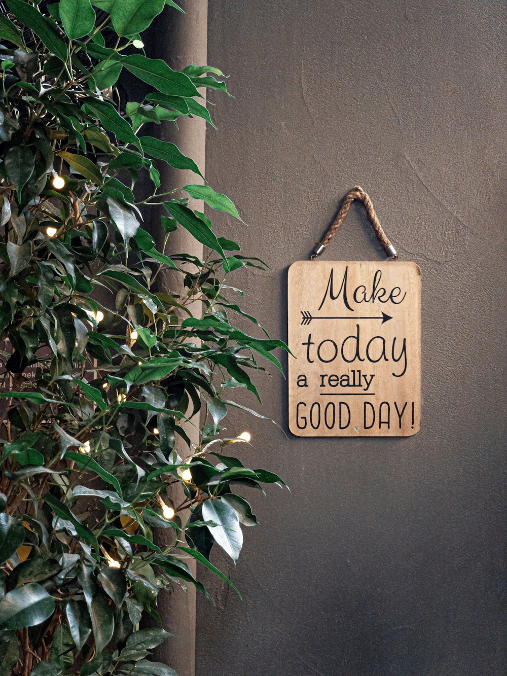 brown make today a really good day signage beside green plant