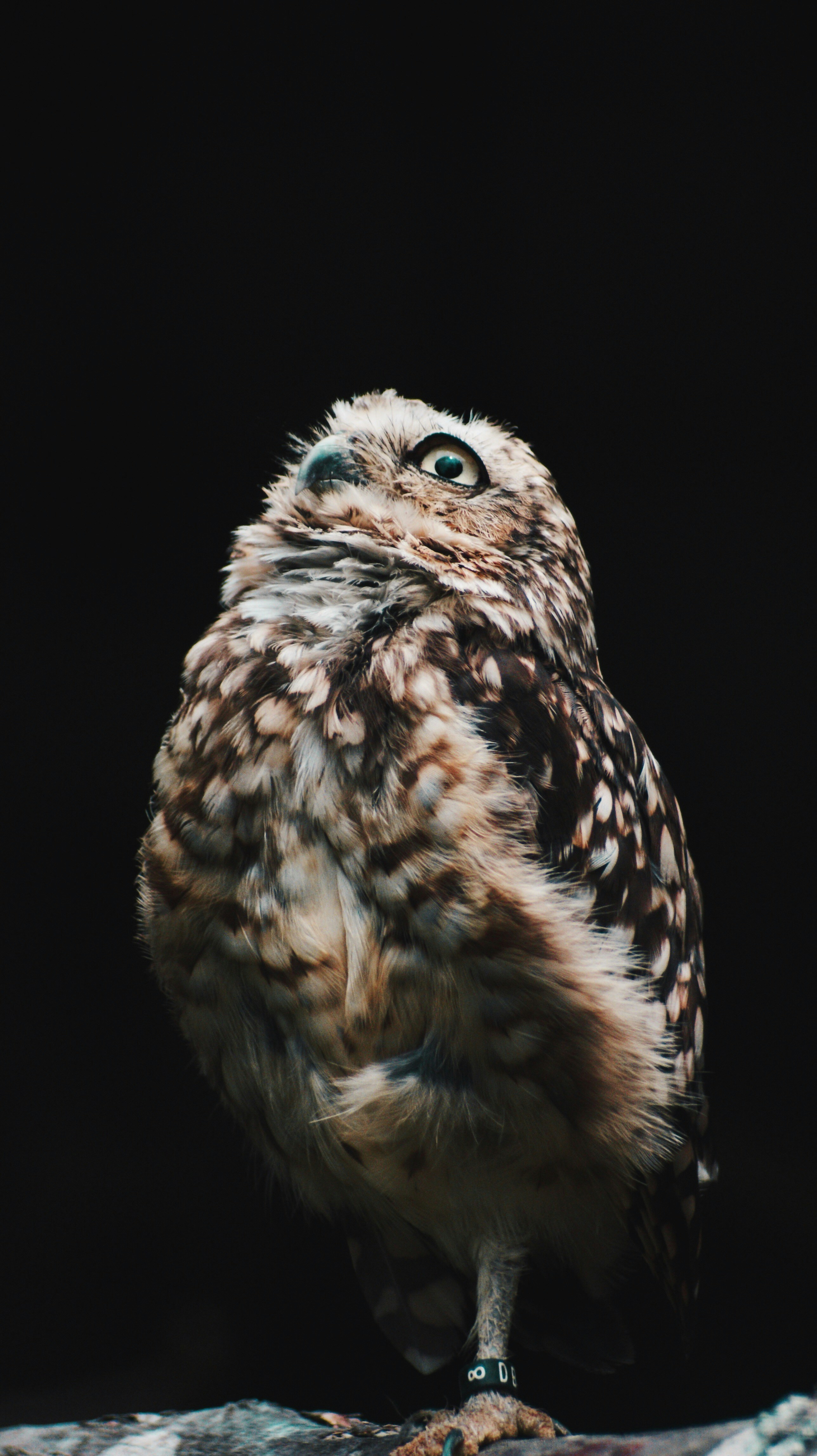 Photo by jessreporter