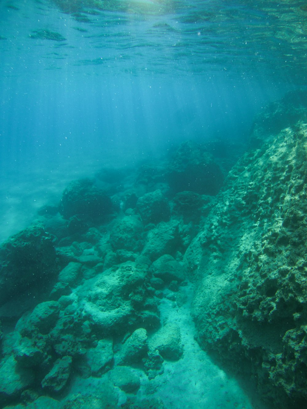 underwater photography of rocks