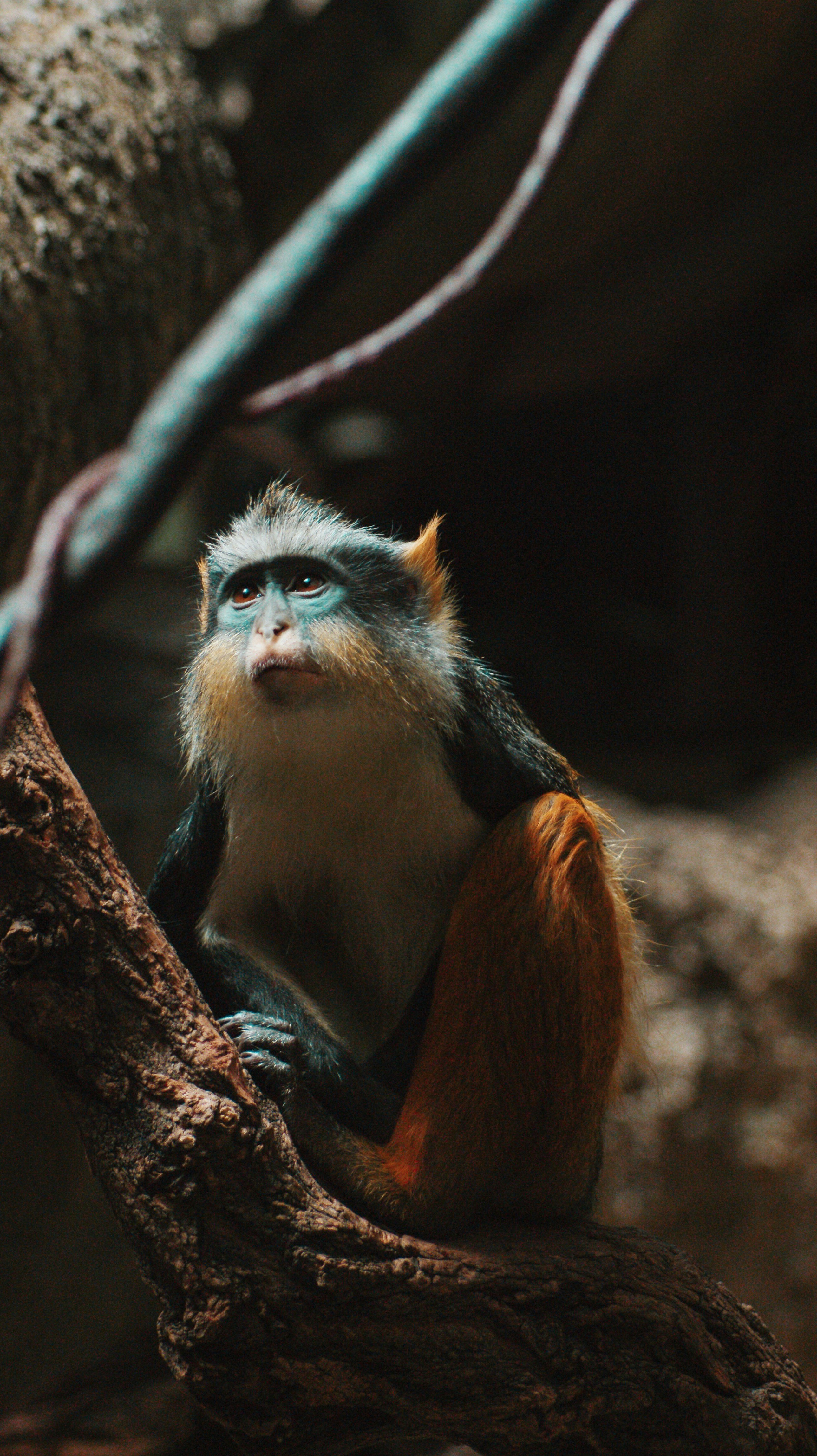 Photo by jessreporter