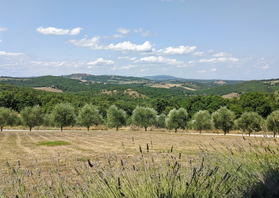 Plain photo spot Tuscany Gallina