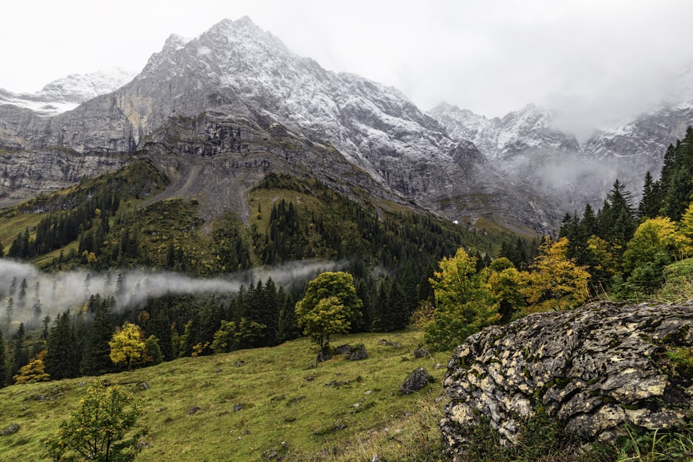 árvores verdes e montanha durante o dia