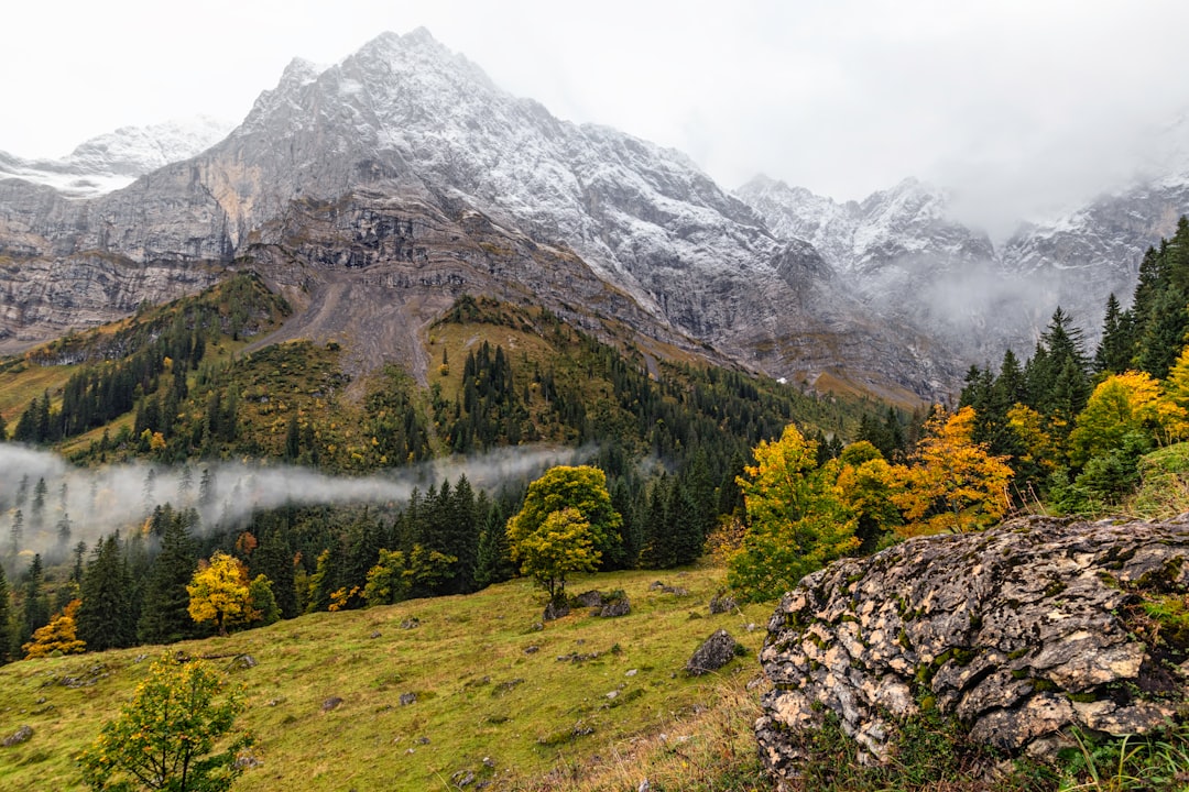 green trees and mountain during daytime