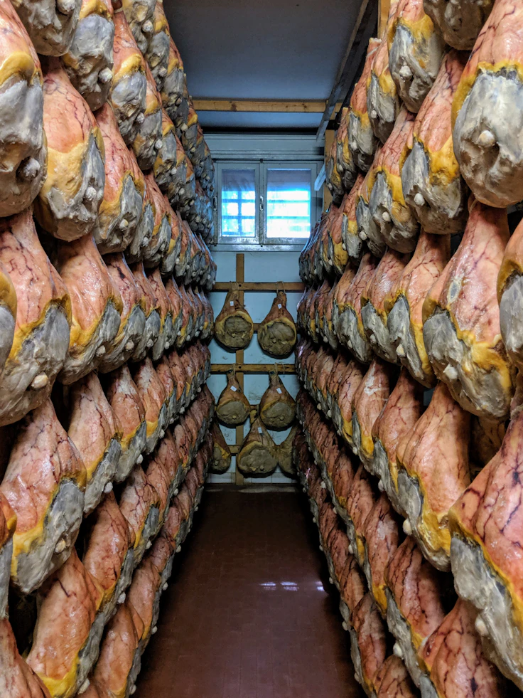 La Capitale del Gusto — Parma e la Food Valley