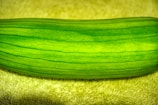 Close-up of vibrant green gherkins freshly picked from the vine.
