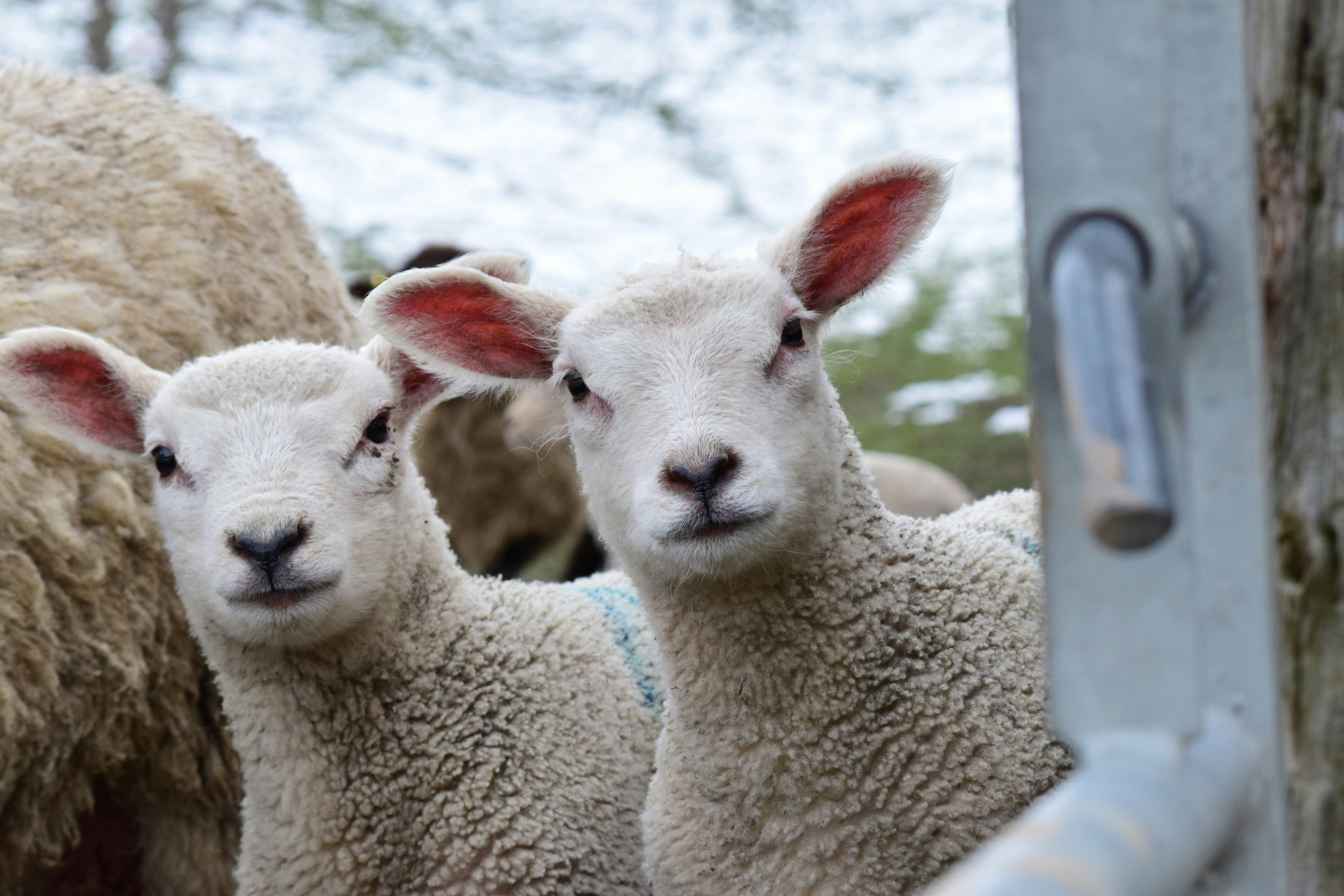 Photo by darren_james_photography