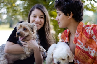 Volunteers gently caring for happy street dogs in a sunny shelter surrounded by greenery.