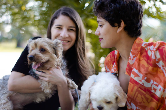 A friendly dog owner and a homeowner chatting happily in a sunny fenced yard with dogs playing around them.