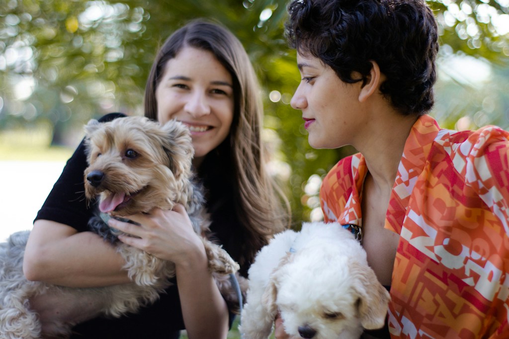 Canine Family Event